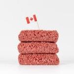 加拿大的肉类工业有多大? (2022年版)